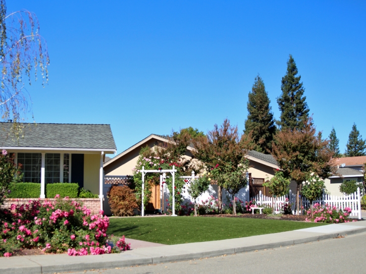 Fake Grass Carpet Lake Montezuma, Arizona City Landscape, Landscaping Ideas For Front Yard