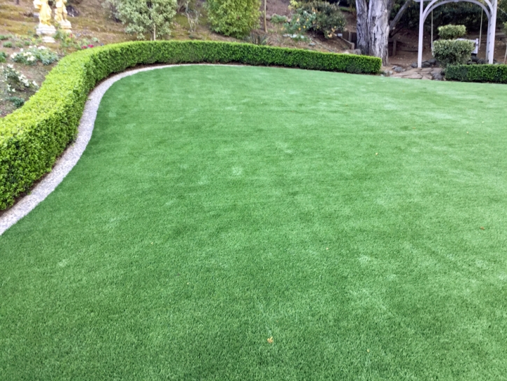 Fake Grass Carpet Mesa del Caballo, Arizona Design Ideas, Backyard Landscaping