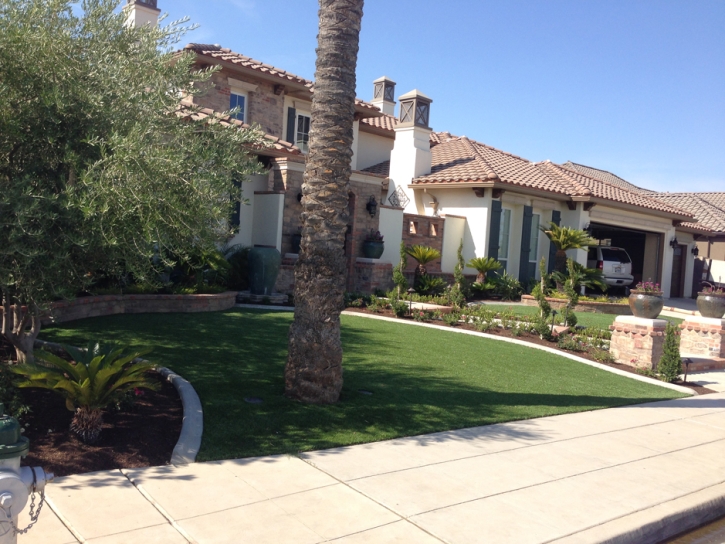 Fake Grass Carpet Sevenmile, Arizona Gardeners, Front Yard