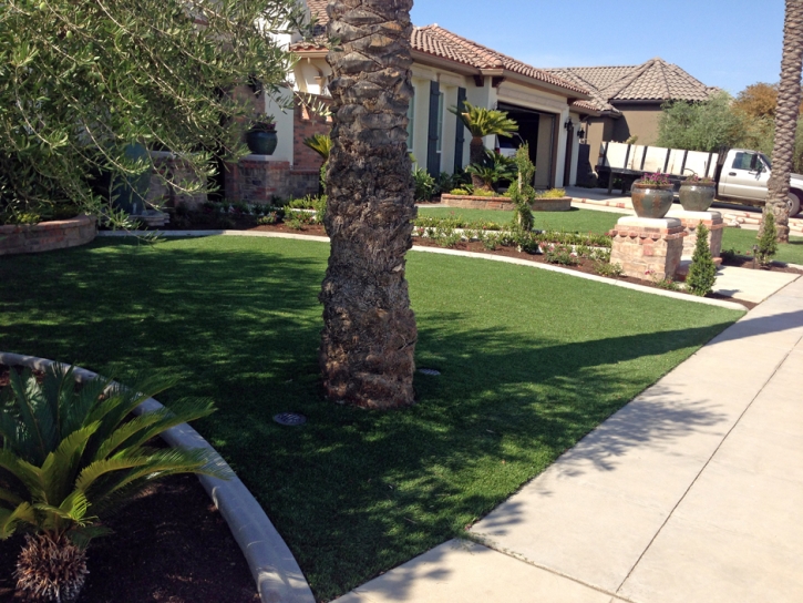 Fake Grass Carpet Verde Village, Arizona Lawn And Garden, Front Yard Design