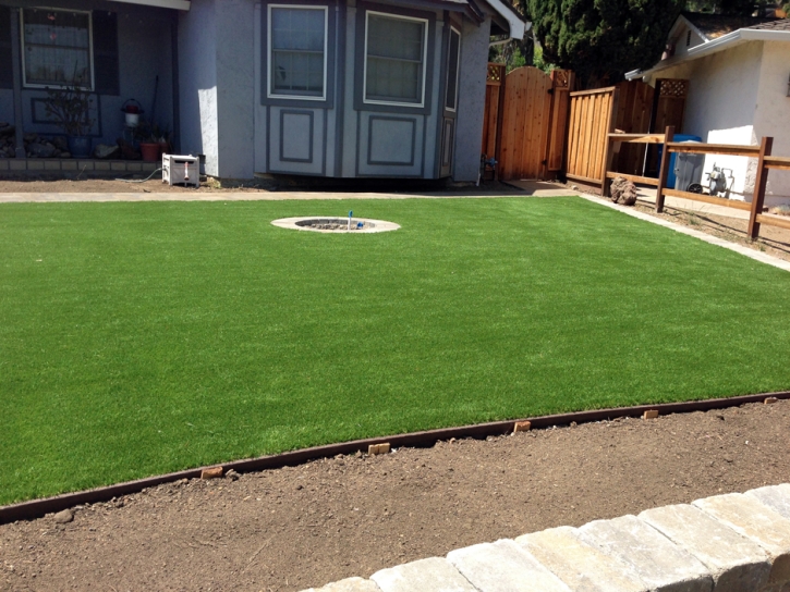 Fake Grass Carpet Wikieup, Arizona Design Ideas, Small Front Yard Landscaping