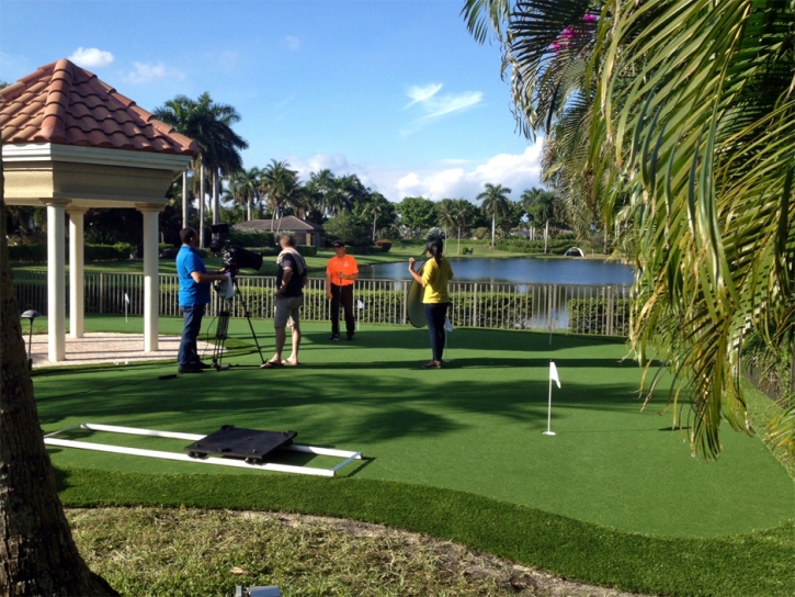 Fake Grass Cave Creek, Arizona Indoor Putting Greens, Backyard Landscaping