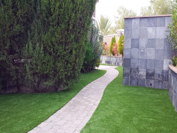 Fake Grass Central, Arizona Design Ideas, Commercial Landscape