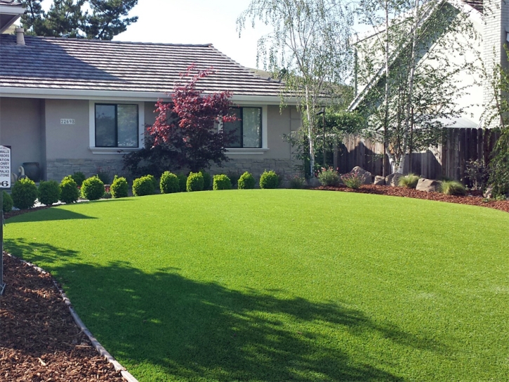 Fake Grass Chiawuli Tak, Arizona Landscaping Business, Small Front Yard Landscaping