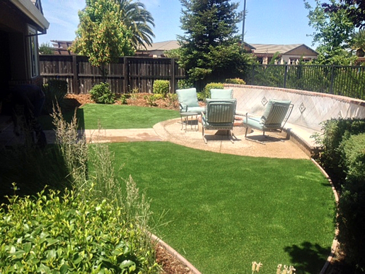 Fake Grass Linden, Arizona Backyard Playground, Backyards