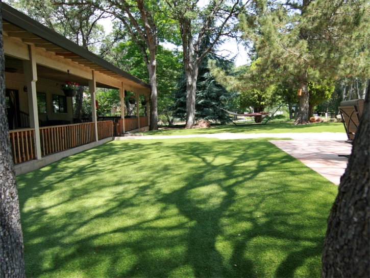 Fake Grass Rio Rico, Arizona Landscaping, Backyards