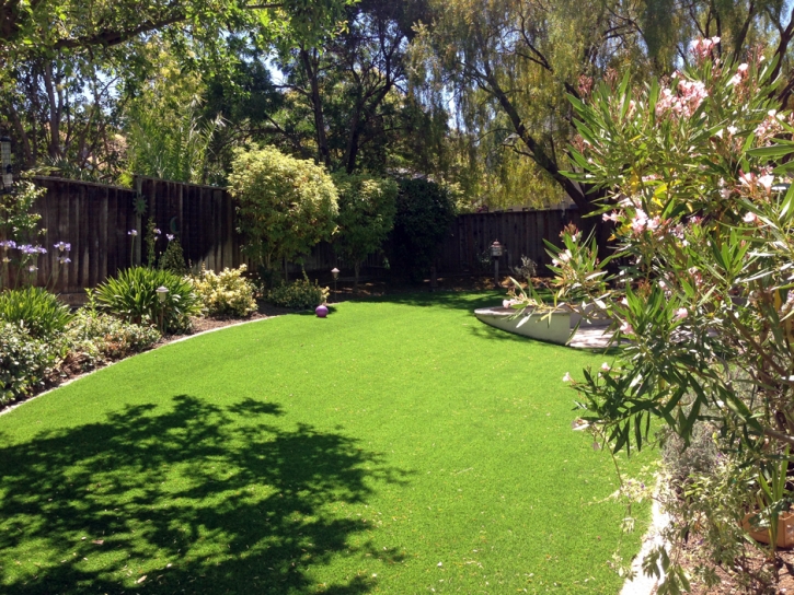 Fake Grass Santa Rosa, Arizona Backyard Playground, Backyard Ideas