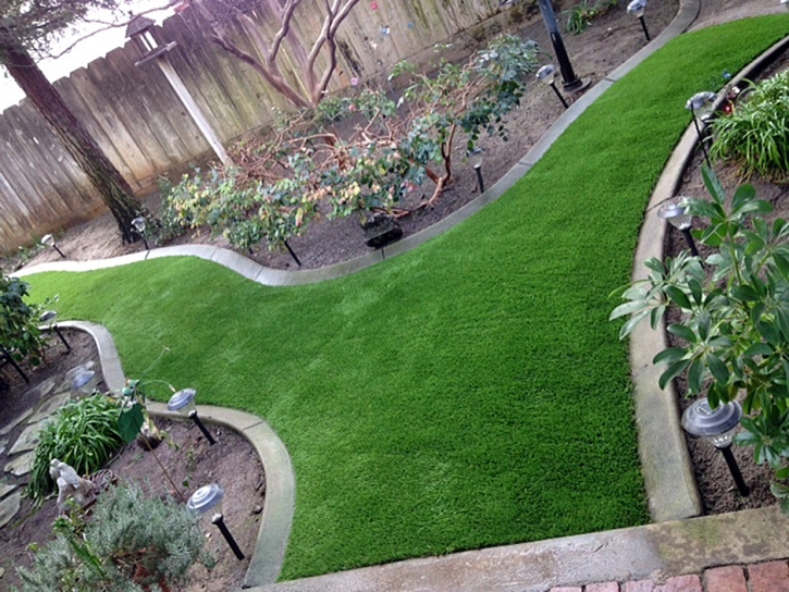 Fake Grass Vaiva Vo, Arizona Landscape Ideas, Backyard Landscaping