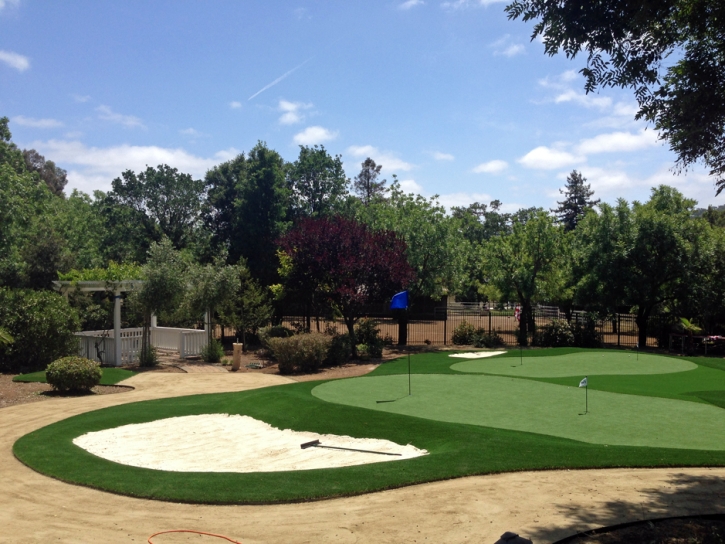 Fake Grass Wenden, Arizona Lawn And Garden, Front Yard Landscape Ideas