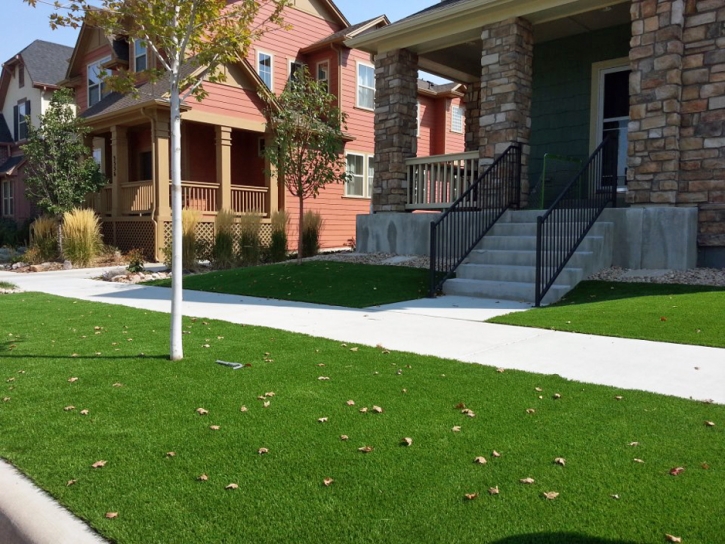 Fake Lawn Citrus Park, Arizona Landscape Rock, Front Yard Design