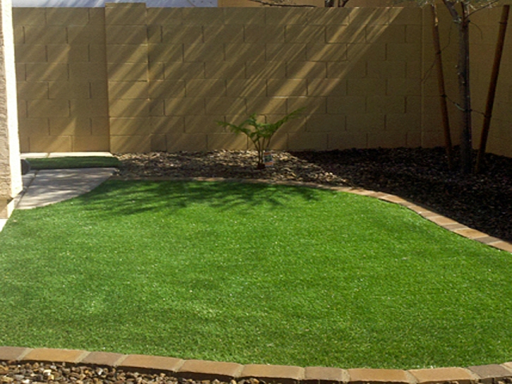 Fake Lawn Crozier, Arizona Landscaping, Beautiful Backyards