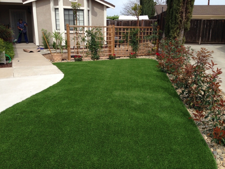 Fake Lawn Dewey-Humboldt, Arizona Landscaping Business, Front Yard Landscaping Ideas