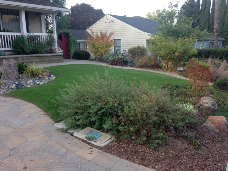 Fake Lawn Greer, Arizona Rooftop, Front Yard Ideas