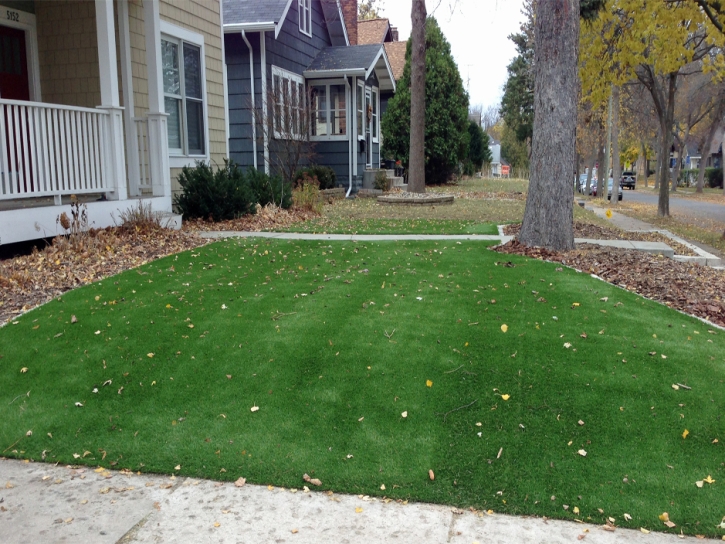 Fake Lawn Parks, Arizona City Landscape, Front Yard Ideas