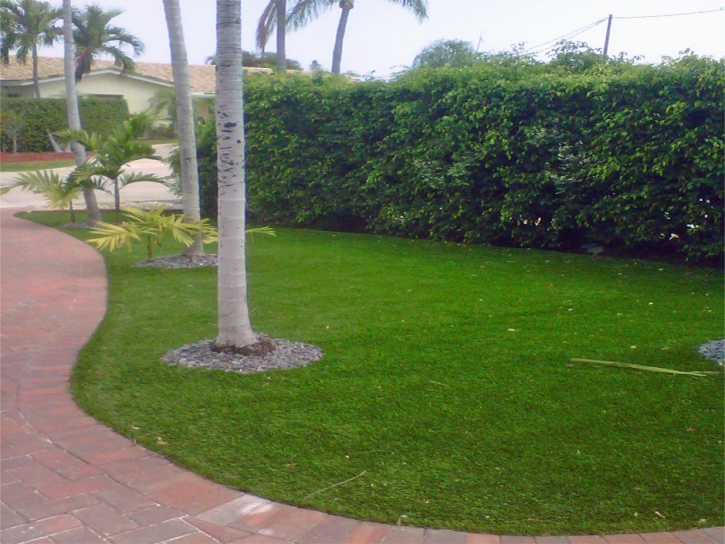 Fake Lawn Pinetop-Lakeside, Arizona Landscaping, Front Yard Ideas