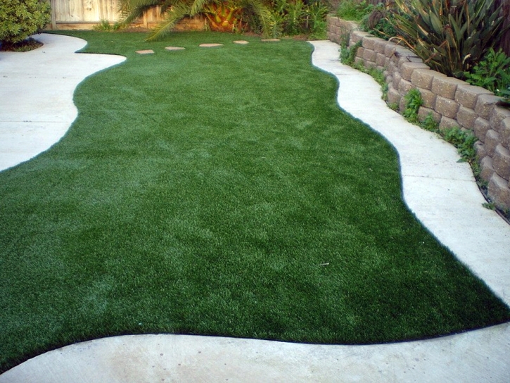 Fake Turf Ak-Chin Village, Arizona City Landscape, Backyard Landscape Ideas