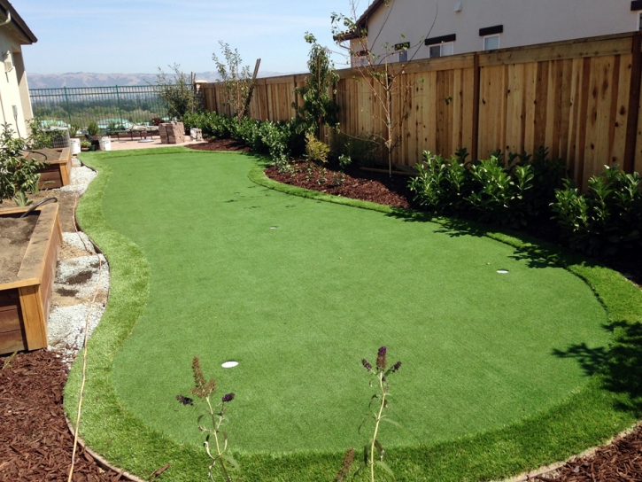 Fake Turf Avondale, Arizona Garden Ideas, Backyard Ideas