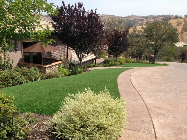 Fake Turf Cedar Creek, Arizona Landscape Rock, Front Yard Landscaping Ideas