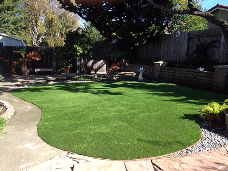 Fake Turf Chuichu, Arizona Landscape Rock, Backyards