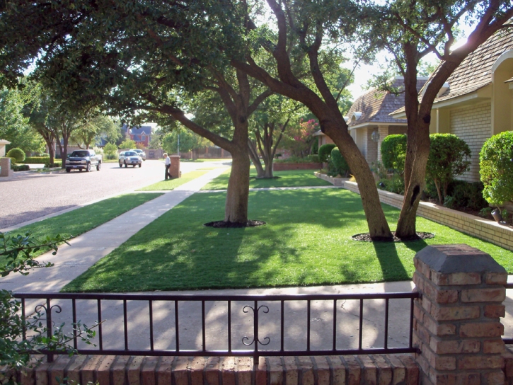 Fake Turf Elgin, Arizona Lawn And Garden, Small Front Yard Landscaping