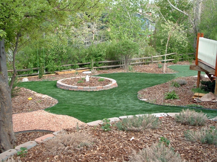 Fake Turf Litchfield Park, Arizona Backyard Deck Ideas, Backyard