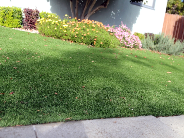 Fake Turf Morenci, Arizona Landscaping Business, Front Yard Landscape Ideas