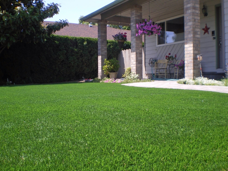 Fake Turf Parker, Arizona Rooftop, Front Yard Landscape Ideas