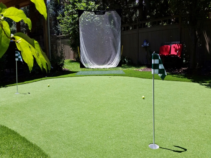 Faux Grass Campo Bonito, Arizona Design Ideas, Backyard