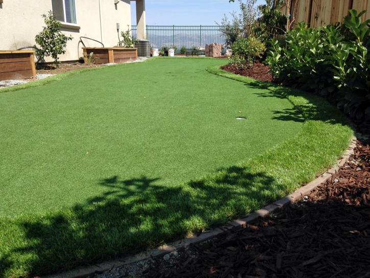 Faux Grass Comobabi, Arizona Home And Garden, Backyard Landscaping