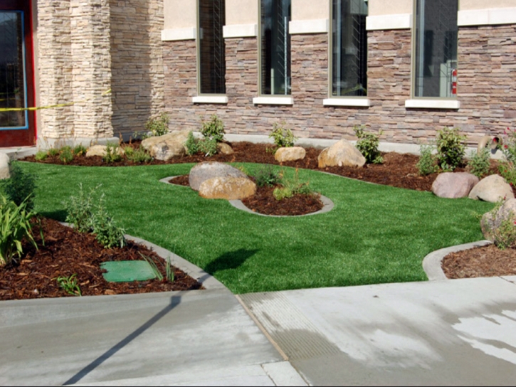 Faux Grass Ehrenberg, Arizona Landscape Ideas, Commercial Landscape