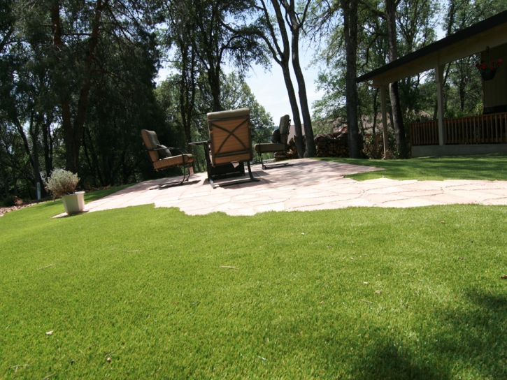 Faux Grass Flagstaff, Arizona Home And Garden, Backyard Landscape Ideas