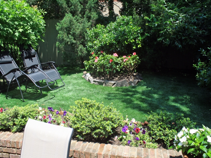 Faux Grass McConnico, Arizona Backyard Deck Ideas, Backyard Ideas