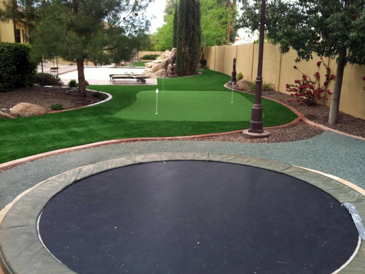 Faux Grass McNary, Arizona Lawns, Backyard Ideas