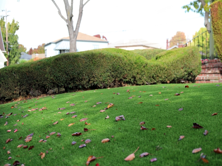 Faux Grass Nogales, Arizona Landscaping, Landscaping Ideas For Front Yard