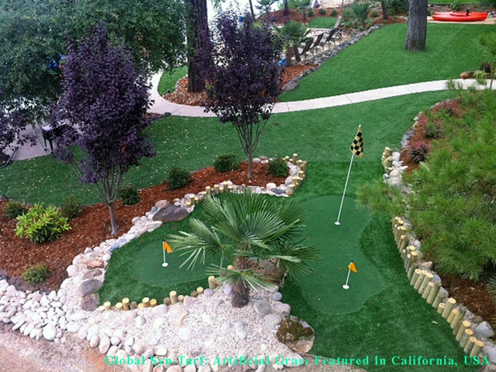 Faux Grass Phoenix, Arizona Design Ideas, Small Backyard Ideas