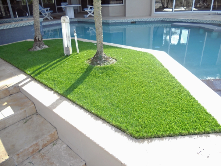 Faux Grass Queen Valley, Arizona Home And Garden, Backyard Designs