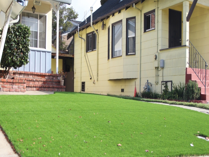 Faux Grass San Luis, Arizona City Landscape, Front Yard Ideas