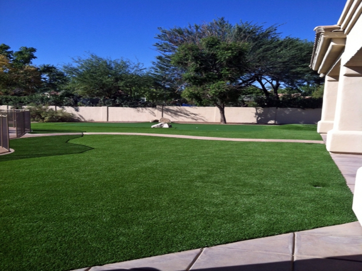 Faux Grass Tortolita, Arizona Gardeners, Front Yard Landscaping