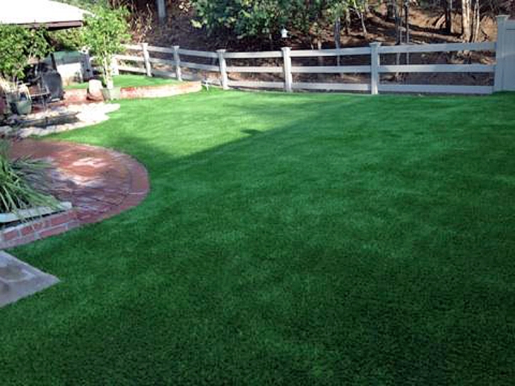 Faux Grass Willcox, Arizona Lawn And Landscape, Backyard Designs