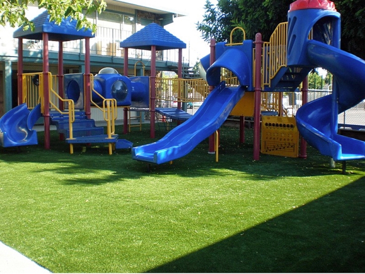 Grass Carpet Black Canyon City, Arizona Backyard Playground, Commercial Landscape