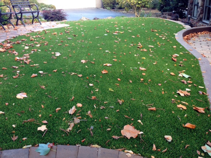 Grass Carpet Bryce, Arizona Home And Garden, Front Yard Design