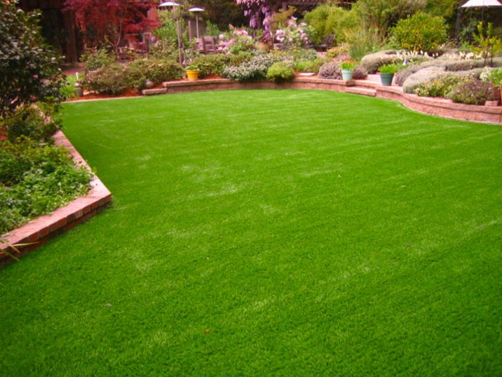 Grass Carpet Buckeye, Arizona Home And Garden, Backyard Makeover