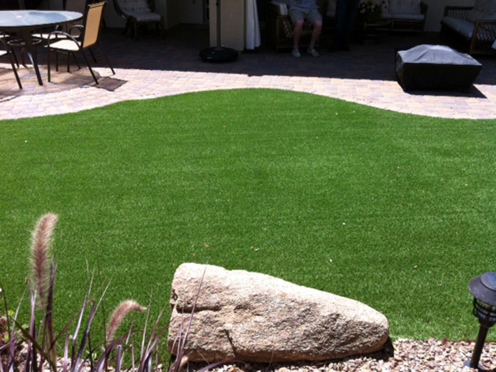 Grass Carpet Clarkdale, Arizona Grass For Dogs, Backyard Ideas