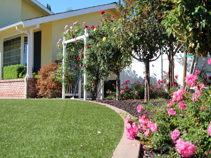 Grass Carpet Cordes Lakes, Arizona Landscaping, Front Yard Landscape Ideas