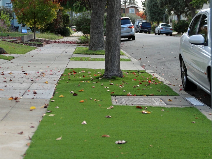 Grass Carpet Dilkon, Arizona Lawns, Front Yard Landscaping