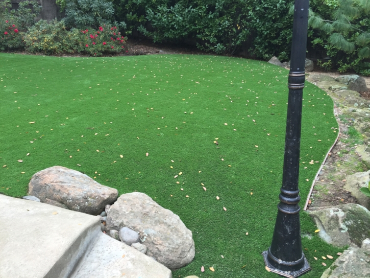 Grass Carpet Kearny, Arizona Landscaping Business, Backyard Designs