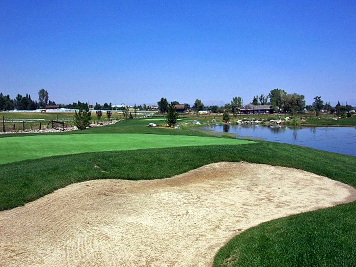 Grass Carpet Paradise Valley, Arizona Putting Green Grass, Backyard Ideas