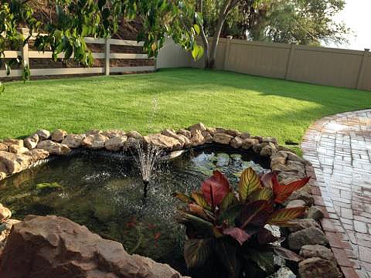 Grass Carpet Seba Dalkai, Arizona Landscaping, Swimming Pool Designs