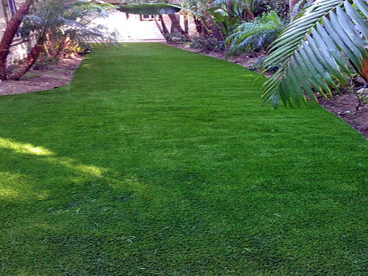 Grass Installation Sierra Vista Southeast, Arizona Lawn And Landscape, Backyard Design