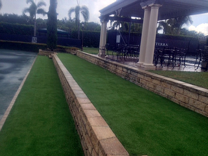 Grass Installation Taylor, Arizona Lawns, Commercial Landscape